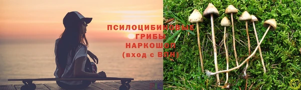 скорость Верхний Тагил